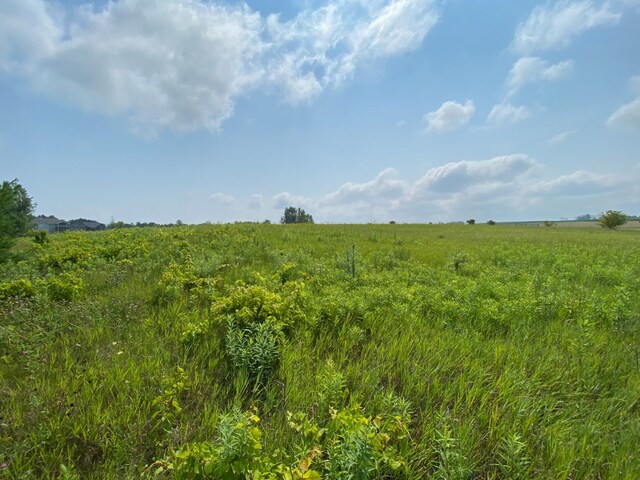 TBD 712th St, Lake City, MN 55041 - photo 4