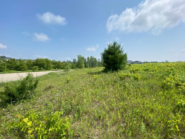 TBD 712th St, Lake City, MN 55041 - photo 5
