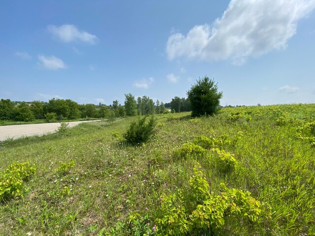 TBD 712th St, Lake City, MN 55041 - photo 6