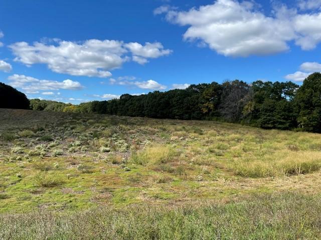 8132 325th Ave NW, Spencer Brook Twp MN, 55371 land for sale