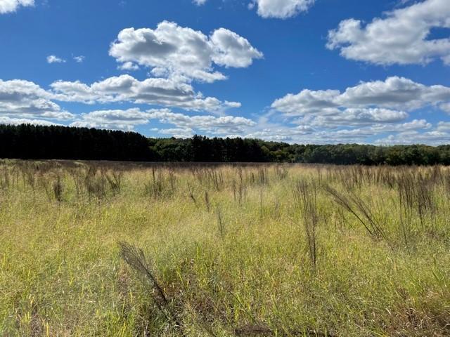 8132 325th Ave NW, Spencer Brook Twp, MN 55371