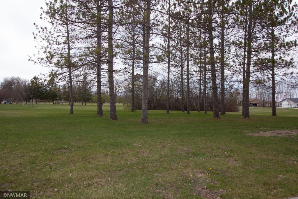 221 Sherwood Ave N, Thief River Falls, MN 56701 - photo 1