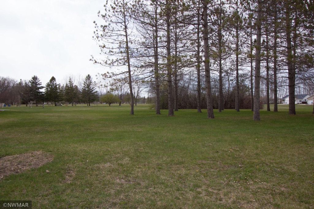 221 Sherwood Ave N, Thief River Falls, MN 56701 - photo 2