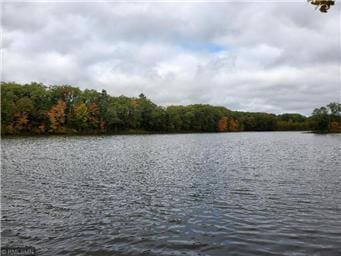 TBD 300th Ave, Frederic, WI 54837