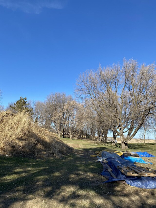 1970 Norway Ave, Windom, MN 56101 - photo 5