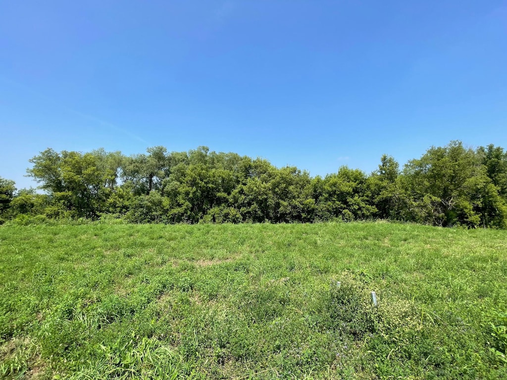1413 Somerby Pl NE, Byron, MN 55920 - photo 1