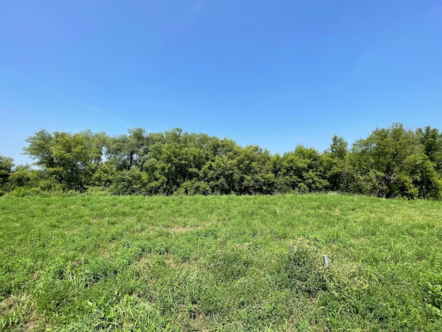 1413 Somerby Pl NE, Byron, MN 55920 - photo 1