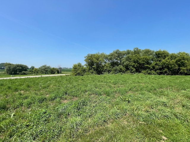 1405 Somerby Pl NE, Byron, MN 55920 - photo 1