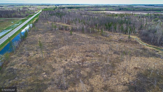 TBD State Highway 172 Cliff, Baudette, MN 56623