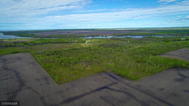 TBD State Highway 172 Cliff, Baudette, MN 56623