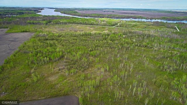 TBD State Highway 172 Cliff, Baudette, MN 56623