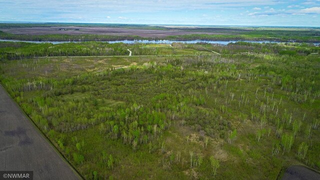 TBD State Highway 172 Cliff, Baudette, MN 56623