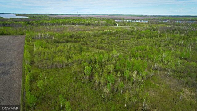TBD State Highway 172 Cliff, Baudette, MN 56623