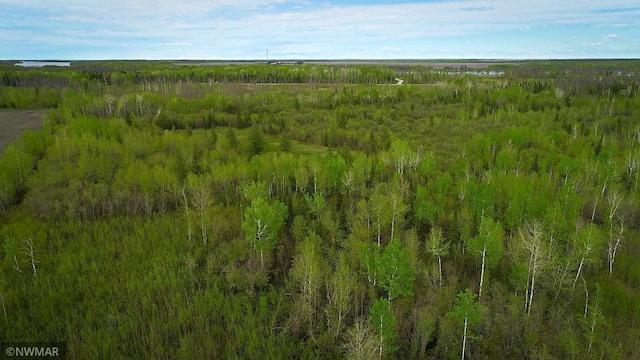 TBD State Highway 172 Cliff, Baudette, MN 56623