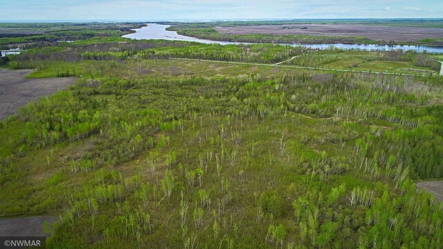 TBD State Highway 172 Cliff, Baudette, MN 56623