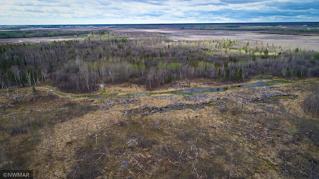 TBD State Highway 172 Cliff, Baudette, MN 56623
