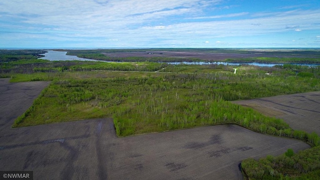 TBD State Highway 172 Cliff, Baudette, MN 56623