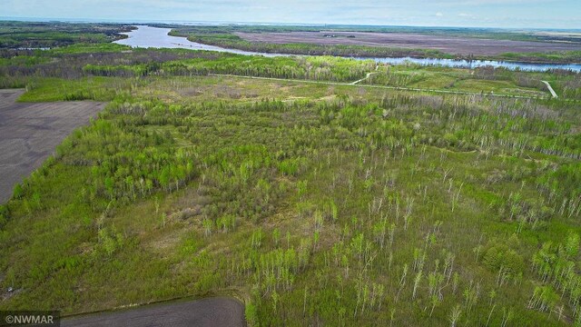 TBD State Highway 172 Cliff, Baudette, MN 56623