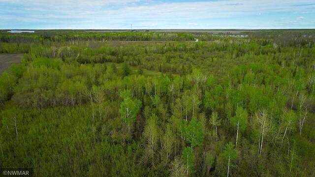 TBD State Highway 172 Cliff, Baudette, MN 56623