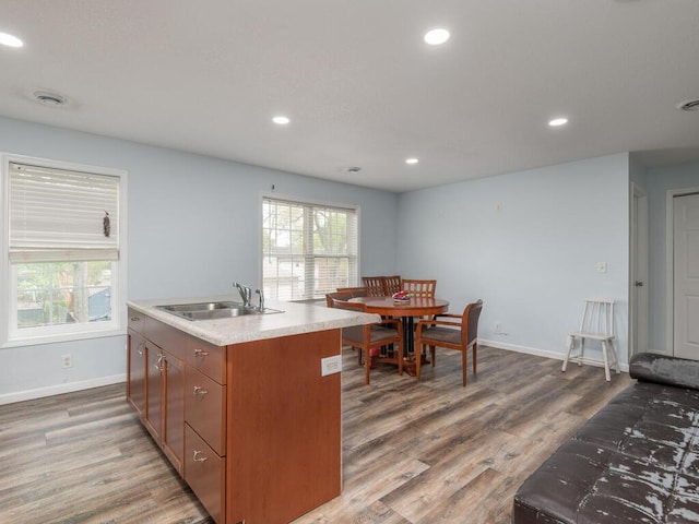 kitchen featuring hardwood / wood-style floors, sink, and an island with sink