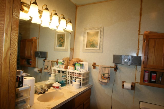 bathroom featuring vanity with extensive cabinet space