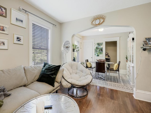 living room featuring dark wood-type flooring