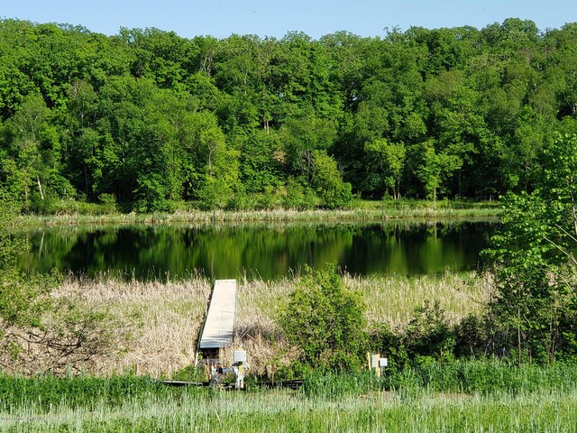 111 Altavista Dr, Detroit Lakes, MN 56501 - photo 4