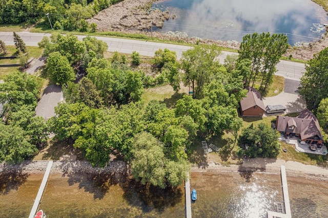 111 Altavista Dr, Detroit Lakes, MN 56501 - photo 37