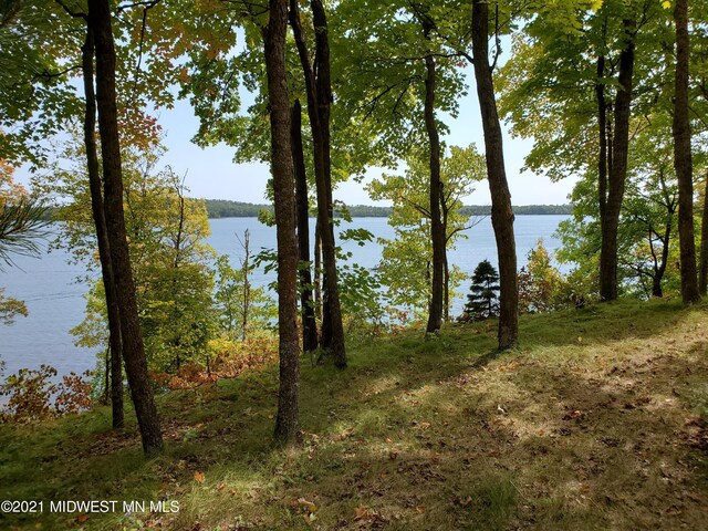 24557 Walden Rd, Rochert, MN 56578 - property view of water