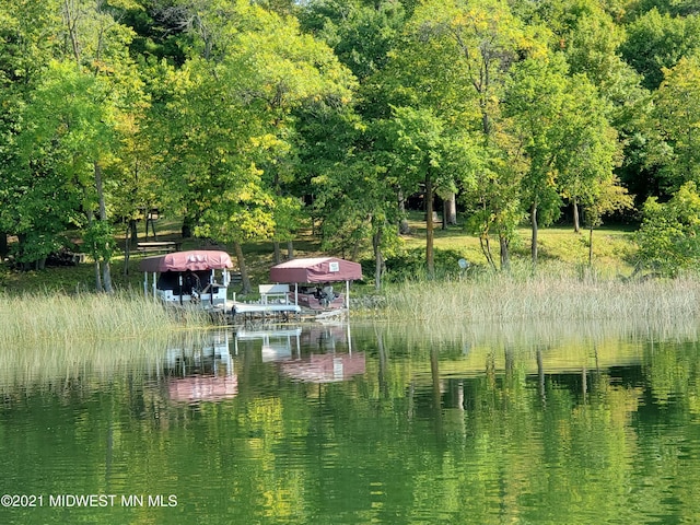 property view of water featuring a dock