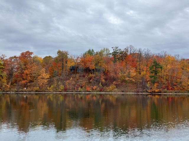 24557 Walden Rd, Rochert, MN 56578 - property view of water featuring a wooded view