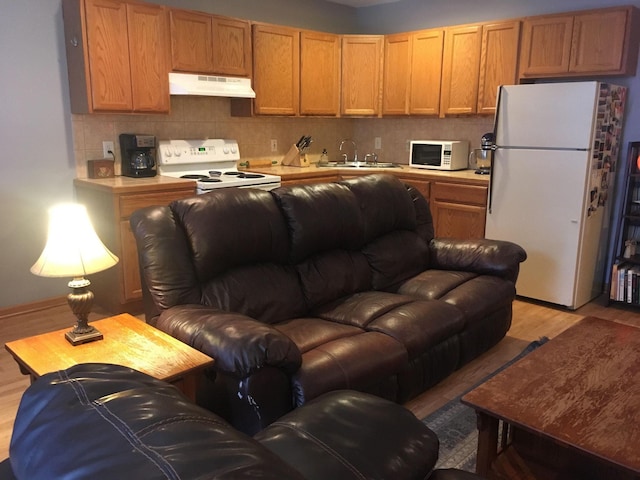 314 Oak Ave SE, Montgomery, MN 56069 - photo 4