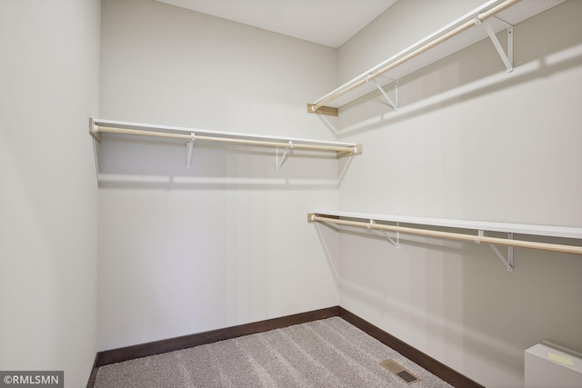 spacious closet featuring carpet floors