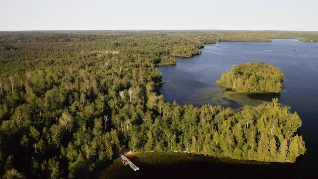 Peninsula Lake Vermilion N N, Tower MN, 55790 land for sale