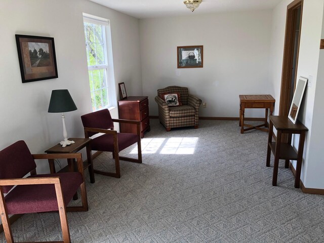 5950 County Road 8 NW, Alexandria, MN 56308 - photo 5