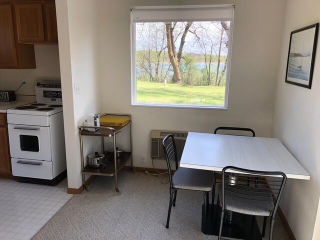 5950 County Road 8 NW, Alexandria, MN 56308 - photo 7