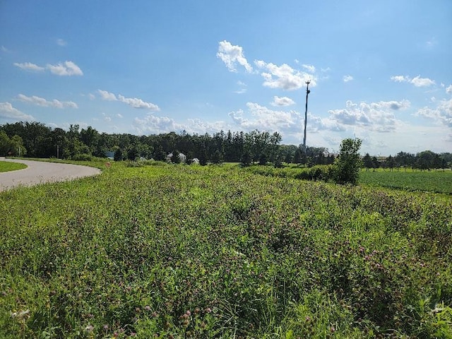 Listing photo 2 for LOT3, BK1 3rd Ave SE, Harmony MN 55939