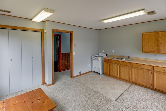 kitchen with light colored carpet, crown molding, sink, and white range