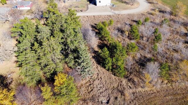 207 China St, Ottertail, MN 56571 - photo 10