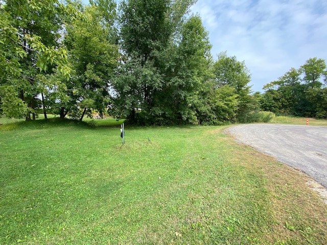 XX Lewis Ln, Elysian MN, 56028 land for sale