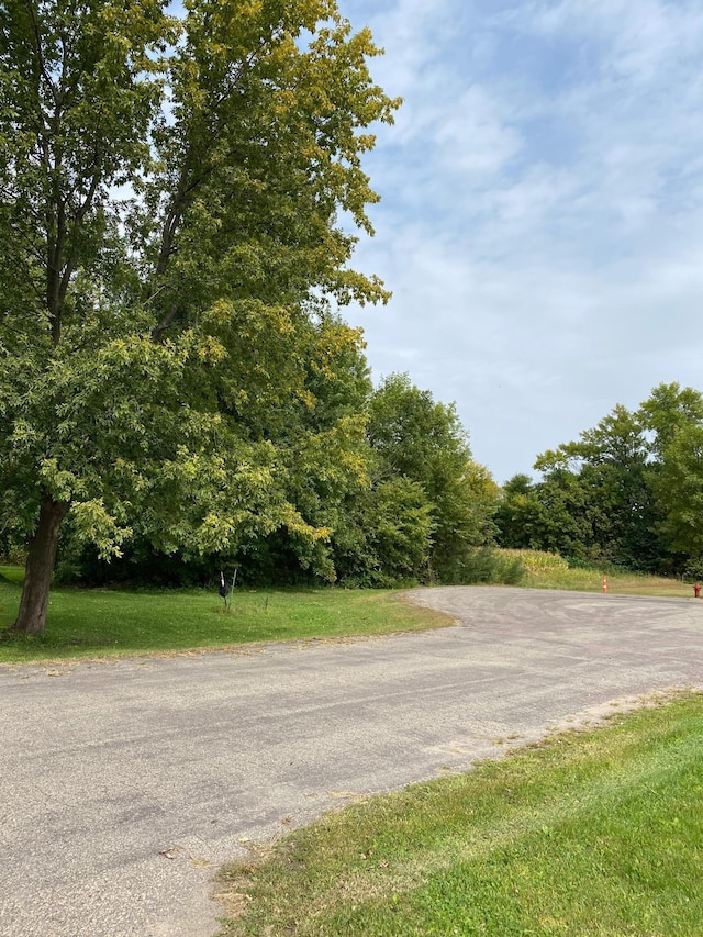 xxxxxx Lewis Lane, Elysian MN, 56028 land for sale