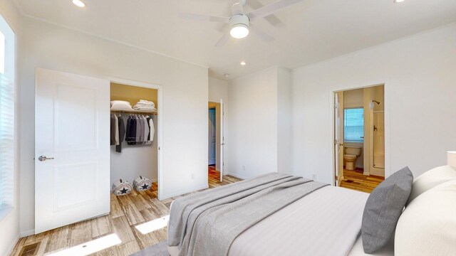 bedroom featuring light wood-type flooring, ceiling fan, a closet, connected bathroom, and a spacious closet