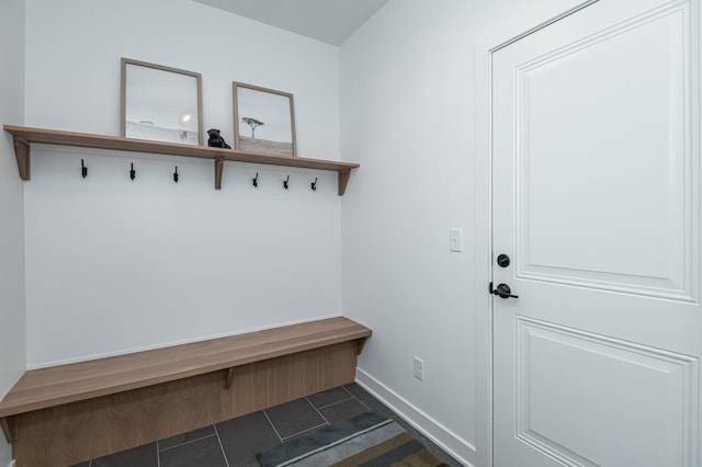 2811 Wildflower Ln SW, Rochester, MN 55902 - mudroom with baseboards and dark tile patterned floors