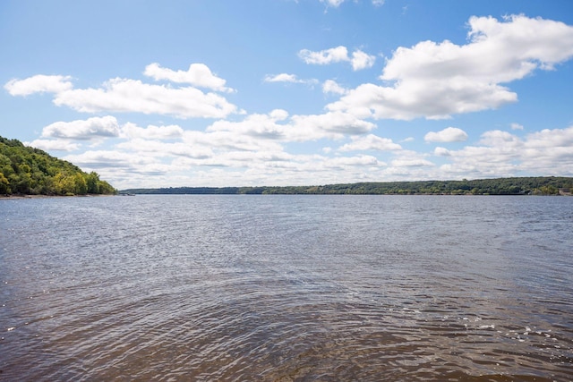 view of water view