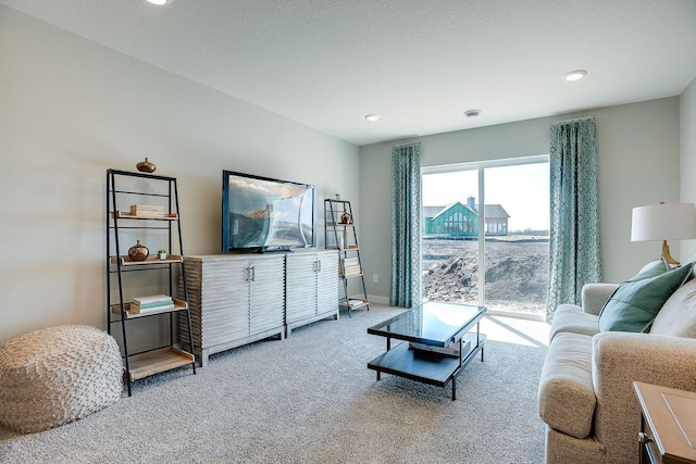 carpeted living room with a textured ceiling