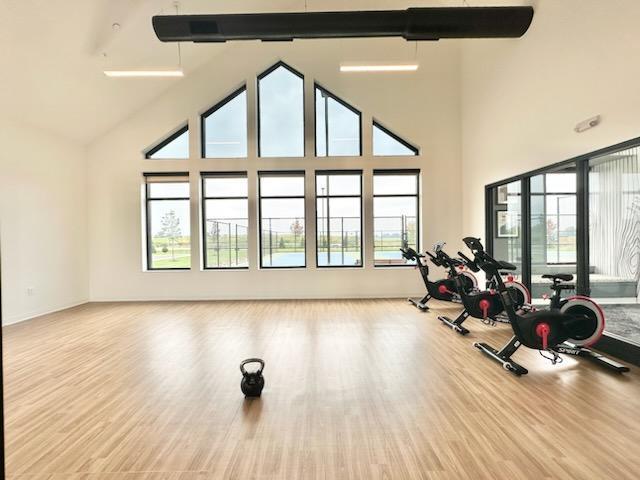 exercise area featuring a towering ceiling, light hardwood / wood-style flooring, and plenty of natural light