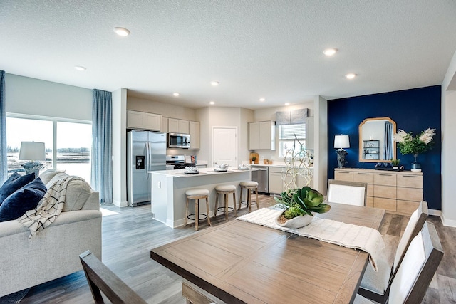 dining space featuring a wealth of natural light, light hardwood / wood-style floors, and a textured ceiling