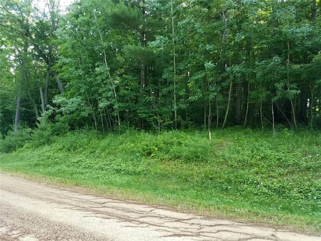 LOT18 297th St, Eau Galle WI, 54737 land for sale