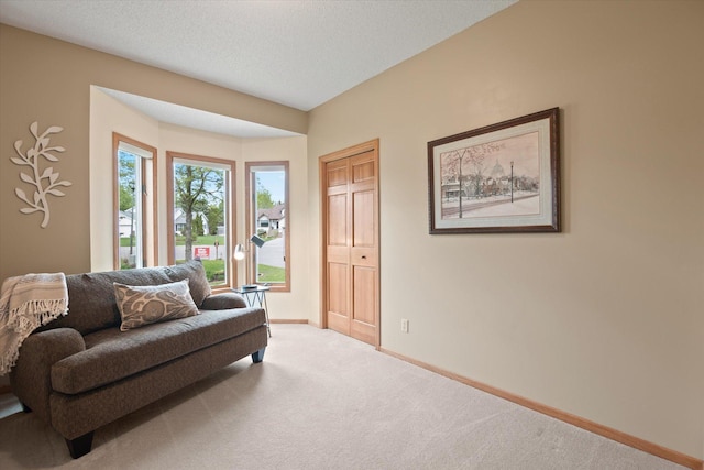 living room featuring light carpet and a textured ceiling