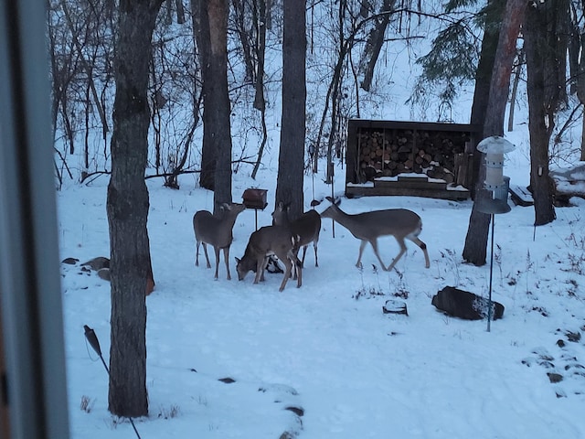 view of snowy yard